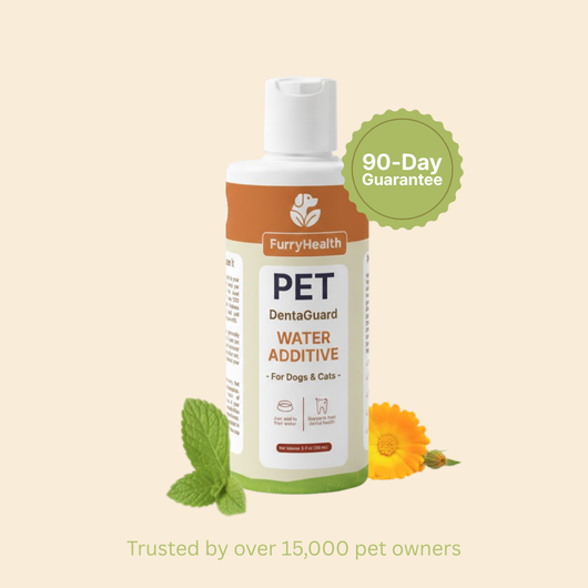 DentaGuard Water Additive bottle